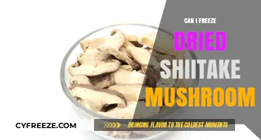 Reviving Umami: The Art of Freezing Dried Shiitake Mushrooms