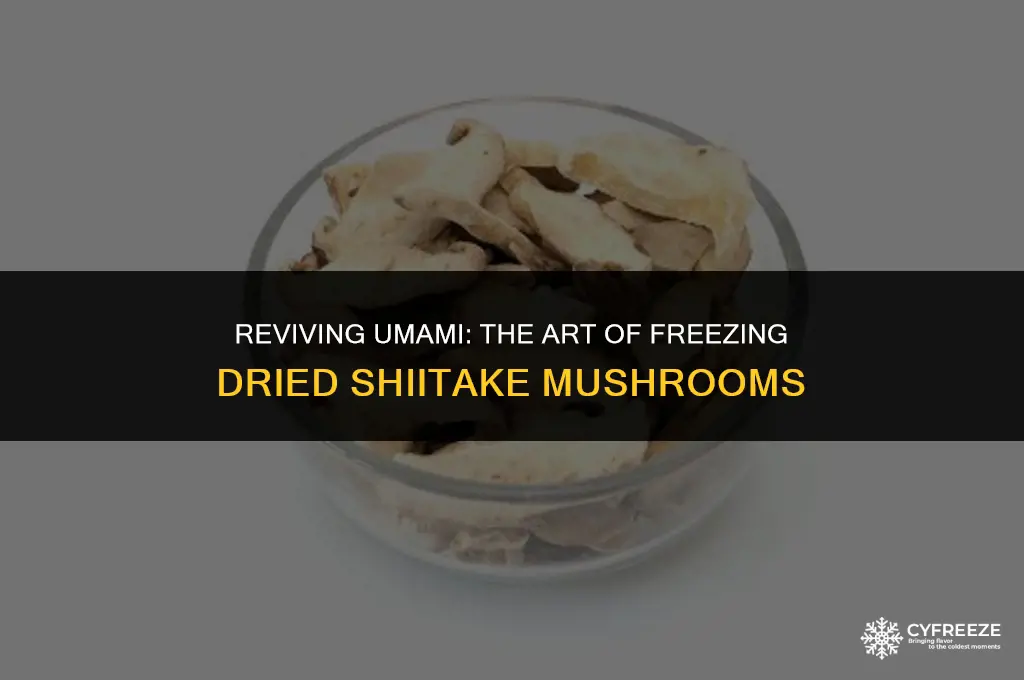 can i freeze dried shiitake mushrooms