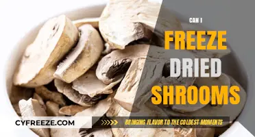 Exploring the Possibilities: Can You Freeze Dry Magic Mushrooms?