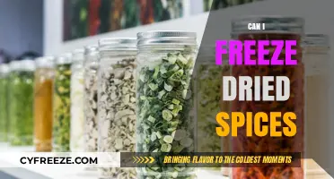 Reviving Flavors: The Do's and Don'ts of Freezing Dried Spices