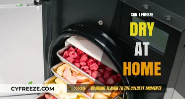 Exploring the Possibilities: Can You Freeze Dry at Home?