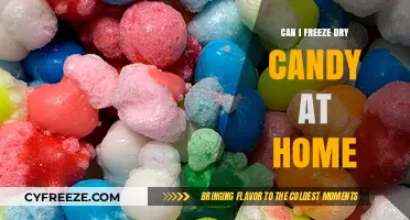 Sweet Preservation: The Ultimate Guide to Freeze-Drying Candy at Home