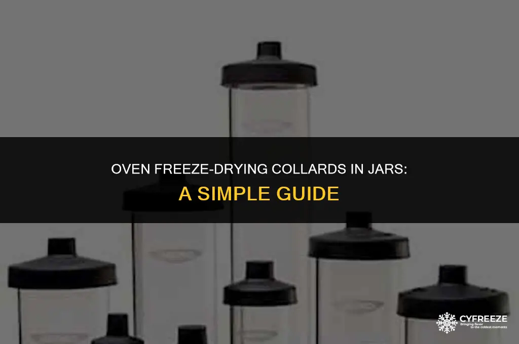 can i freeze dry collards in jars in the oven