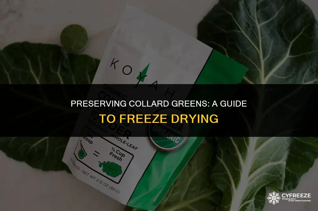 can i freeze dry collards
