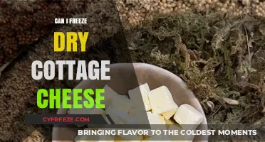 The Ultimate Guide to Freeze-Drying Cottage Cheese: Tips and Tricks