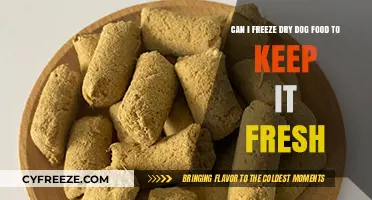 Preserving Kibble: The Ultimate Guide to Freezing Dry Dog Food