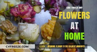 Preserve Your Blooms: A Guide to Freeze Drying Flowers at Home
