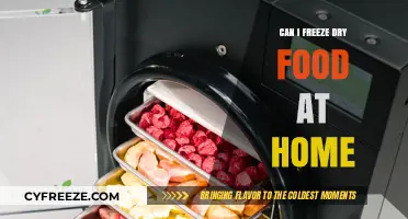 Exploring the Possibilities: Can You Freeze Dry Food at Home?