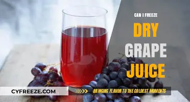 Exploring the Possibilities: Can You Freeze Dry Grape Juice?