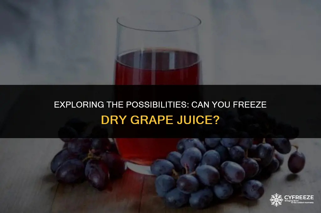 can i freeze dry grape juice