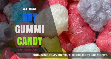 Preserving Sweetness: The Ultimate Guide to Freeze-Drying Gummy Candy
