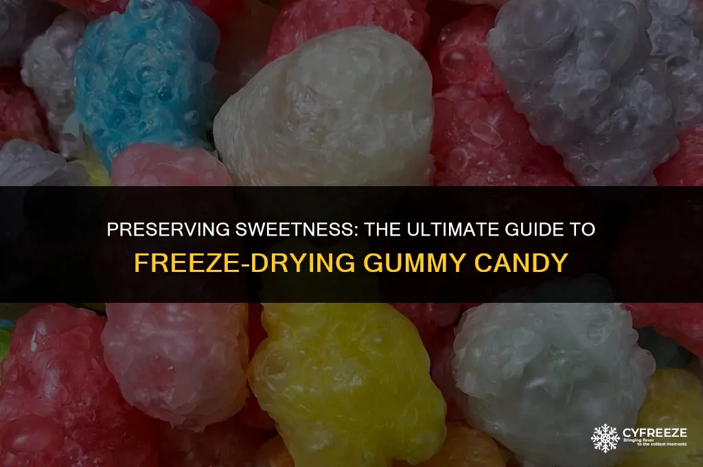 can i freeze dry gummi candy