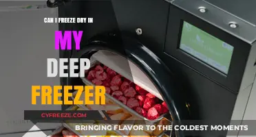 Exploring the Possibilities: Can You Freeze Dry at Home?
