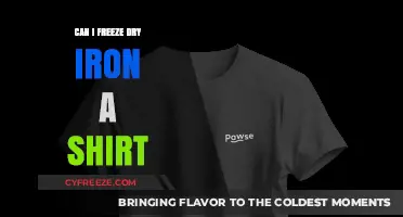 Ironing Out the Facts: Can You Freeze Dry a Shirt?