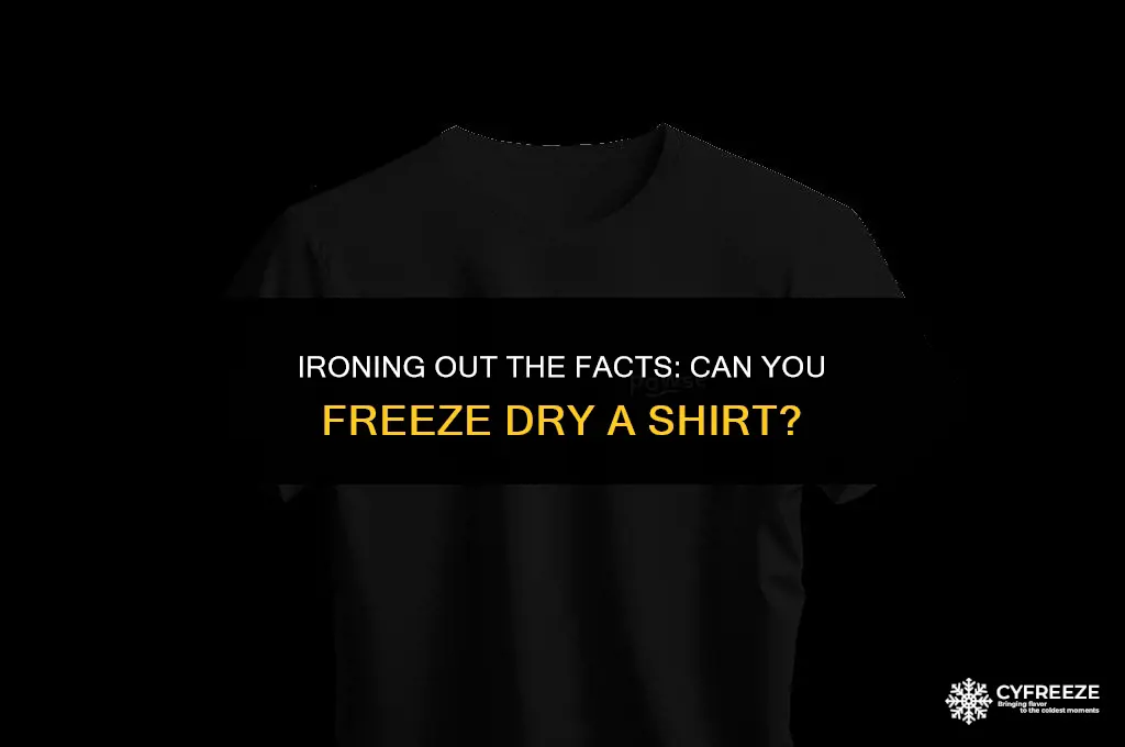 can i freeze dry iron a shirt