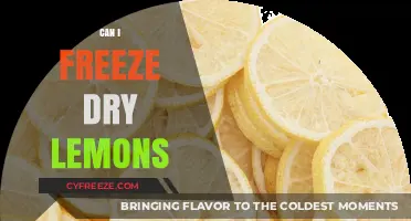 Preserve the Zest: A Guide to Freeze-Drying Lemons
