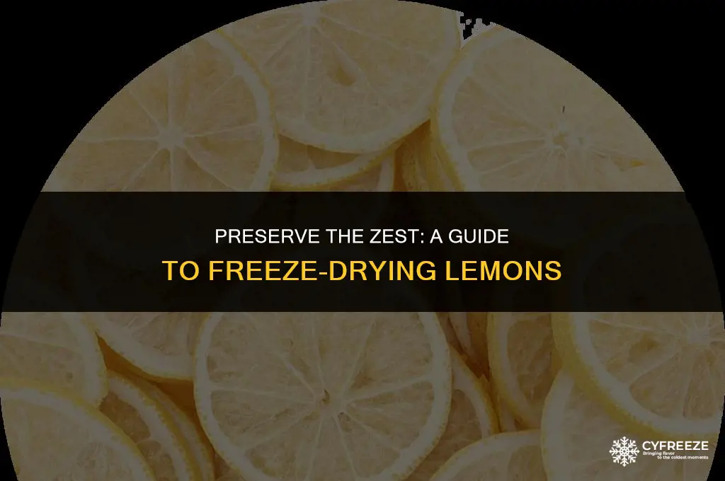 can i freeze dry lemons