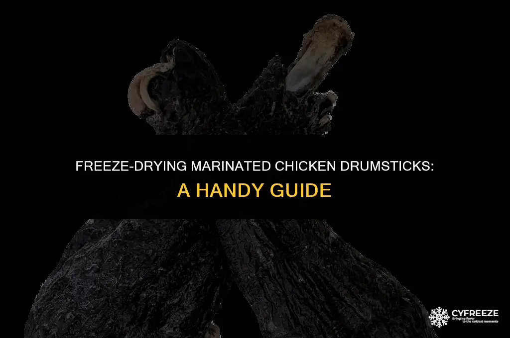 can i freeze dry marinated chicken drumsticks