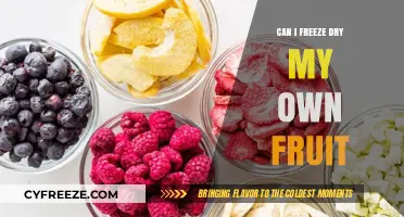 Preserve Your Harvest: The Ultimate Guide to Freeze-Drying Fruit at Home