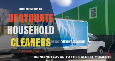 Preserving Household Cleaners: The Do's and Don'ts of Freezing and Dehydrating