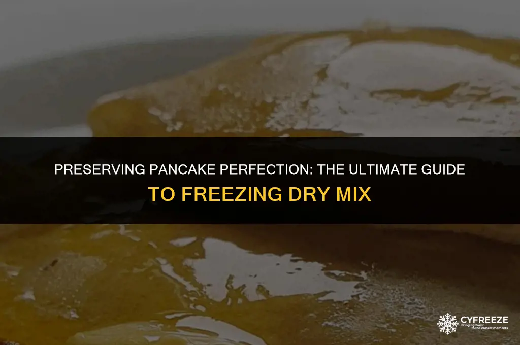 can i freeze dry pancake mix