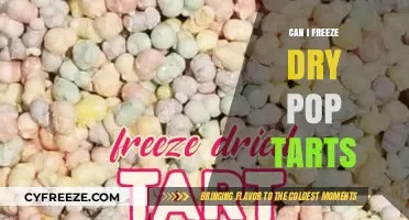 Preserving Sweetness: The Ultimate Guide to Freeze-Drying Pop-Tarts