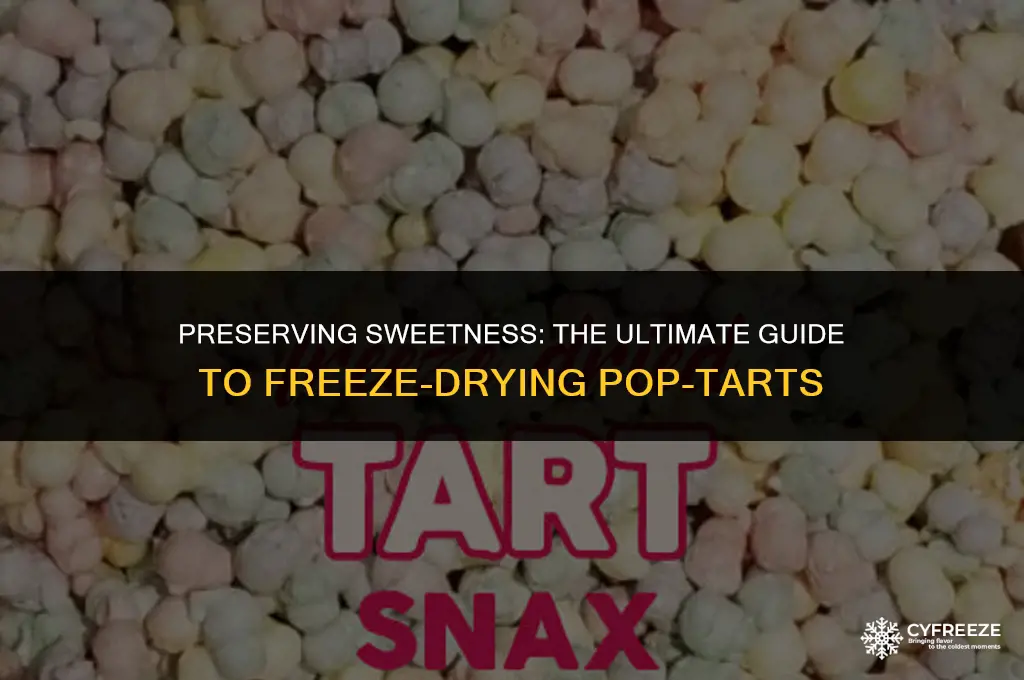 can i freeze dry pop tarts