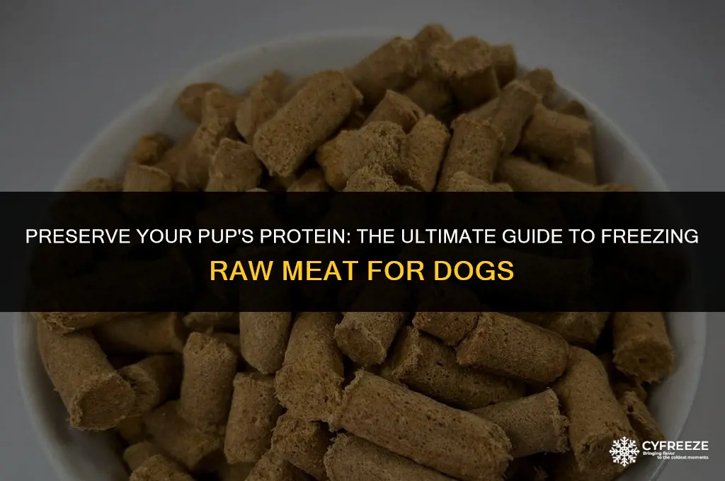 can i freeze dry raw meat for my dog