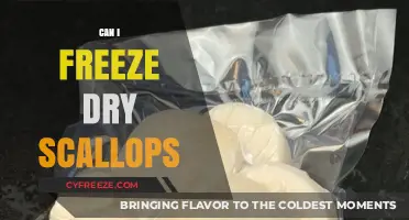 Preserving Seafood Perfection: The Ultimate Guide to Freeze-Drying Scallops