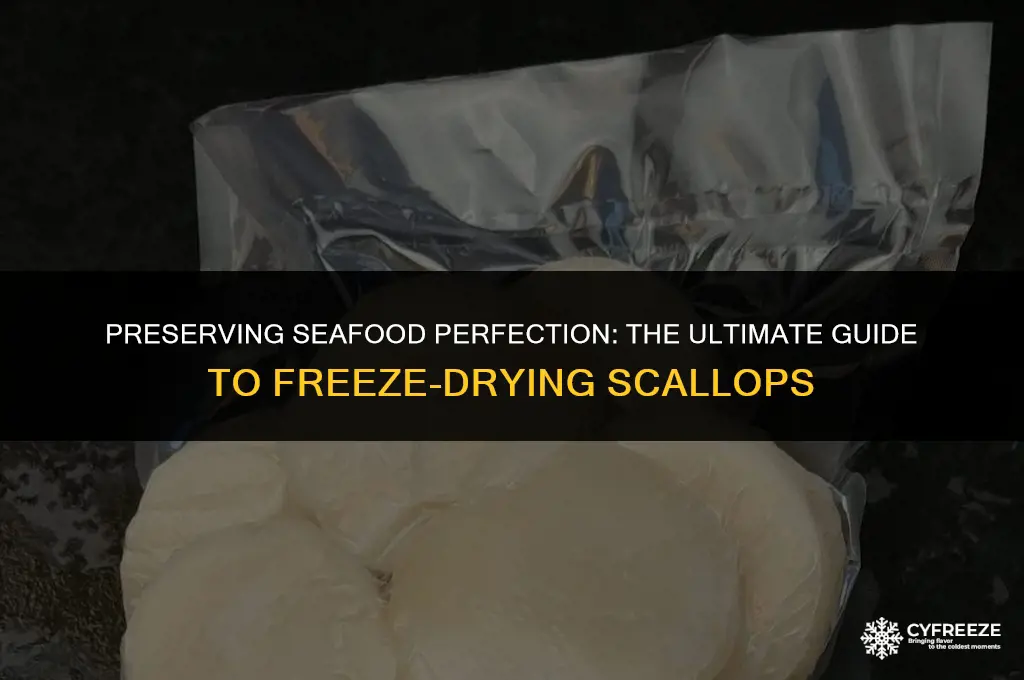 can i freeze dry scallops