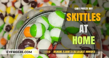 Homemade Freeze-Drying: A Colorful Experiment with Skittles