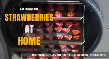 Home Freeze Drying: A Guide to Preserving Strawberries