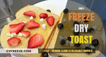 Reviving Stale Bread: The Ultimate Guide to Freezing Dry Toast