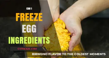 Freezing Egg Ingredients: A Complete Guide to Preservation and Safety