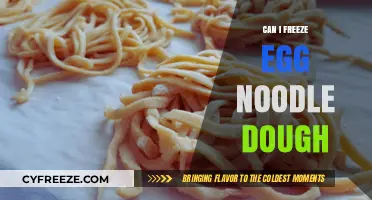 Freezing Egg Noodle Dough: Tips for Perfect Homemade Pasta Storage