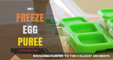 Freezing Egg Puree: Tips, Tricks, and Storage Solutions for Freshness