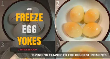 Freezing Egg Yolks: A Handy Guide to Preserve and Store