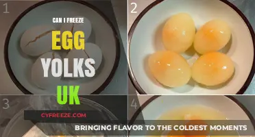 Freezing Egg Yolks in the UK: A Handy Kitchen Tip