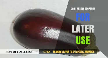 Freezing Eggplant: A Handy Guide for Long-Term Storage and Use