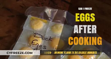 Egg-cellent Preservation: Freezing Cooked Eggs for Later Use