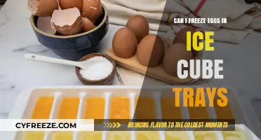 Egg-cellent Idea: Freezing Eggs in Ice Cube Trays - A Simple Guide
