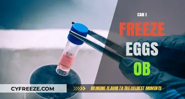 Freezing Eggs: A Comprehensive Guide to Preserving Fertility Options
