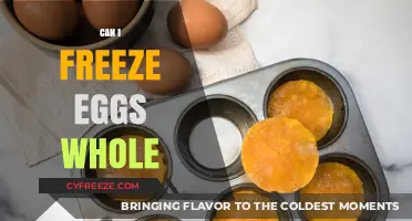 Freezing Eggs Whole: A Complete Guide to Preserving Freshness