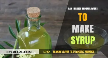 Elderflower Syrup: The Ultimate Guide to Freezing and Preserving