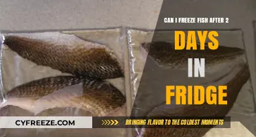 Fresh to Frozen: Can You Safely Freeze Fish After 2 Days in the Fridge?