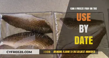 Freezing Fish on Use-By Date: Safe or Risky Practice?