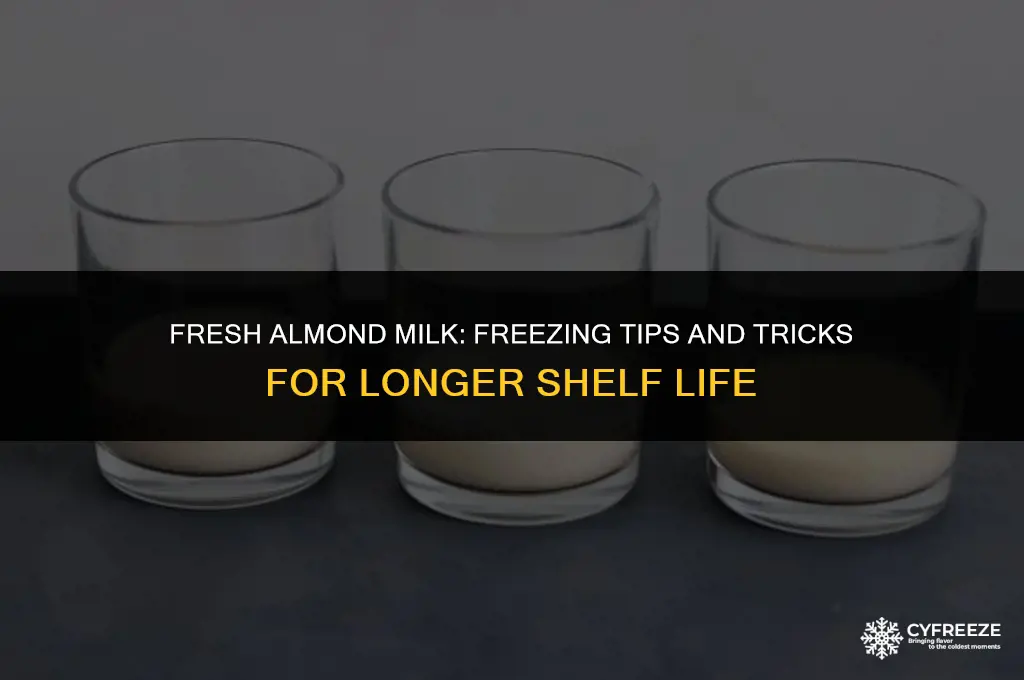 can i freeze fresh almond milk
