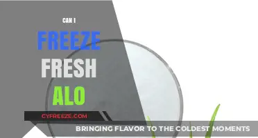 Aloha! Can You Freeze Fresh Aloe Vera for Later Use?