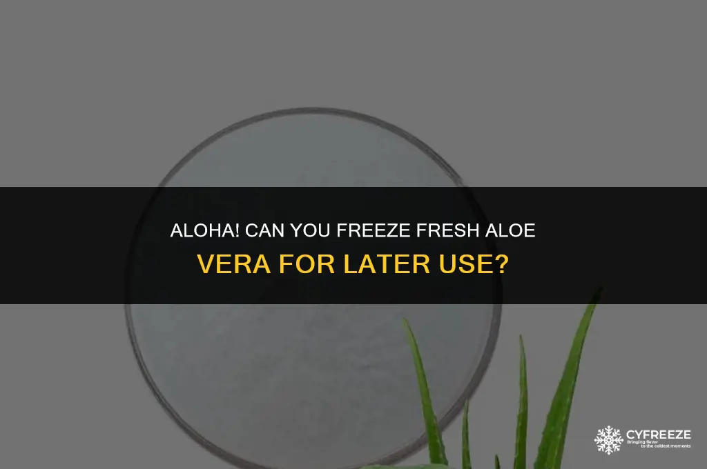 can i freeze fresh alo