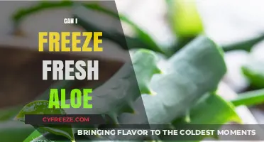 Aloe Freshness Preserved: A Guide to Freezing Aloe Vera Gel